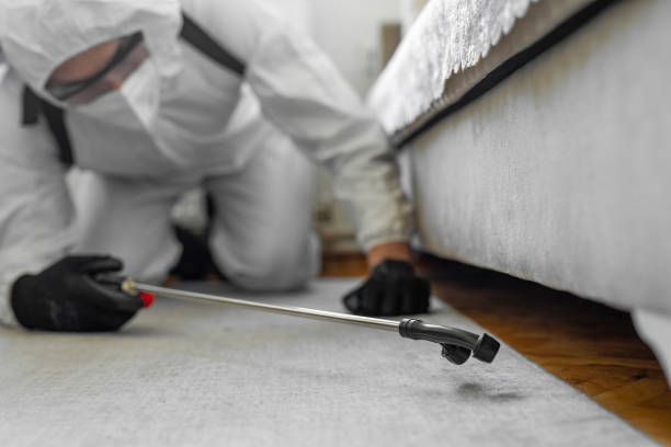 Professional Pest Control technician working in Gridley, CA