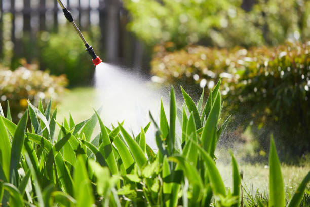 24/7 Emergency Pest Control experts in Gridley, CA
